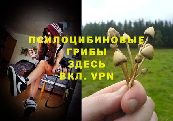 ГАЛЛЮЦИНОГЕННЫЕ ГРИБЫ Беломорск