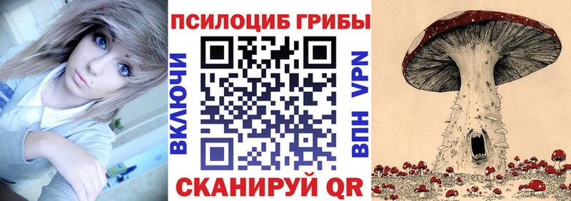 Псилоцибиновые грибы мицелий  kraken ТОР  Себеж 